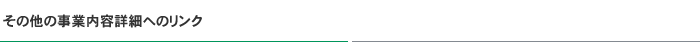 その他の事業内容詳細へのリンク